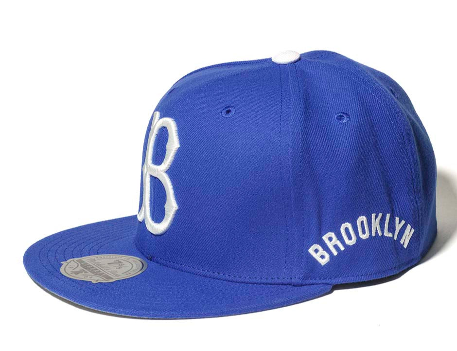 Mens Mitchell & Ness MLB EVERGREEN FITTED COOP DODGERS