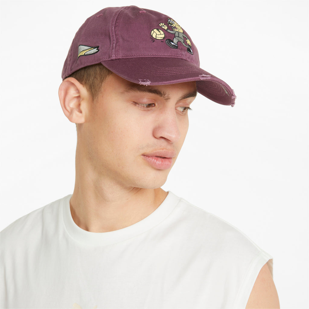 [023764-02] Mens PUMA HOMETOWN HEROES VINTAGE DAD CAP