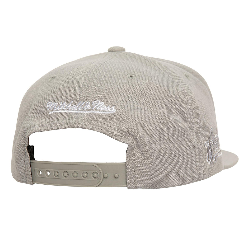MENS MITCHELL & NESS MLB EVERGREEN GREY WHITE SNAPBACK COOP ASTROS