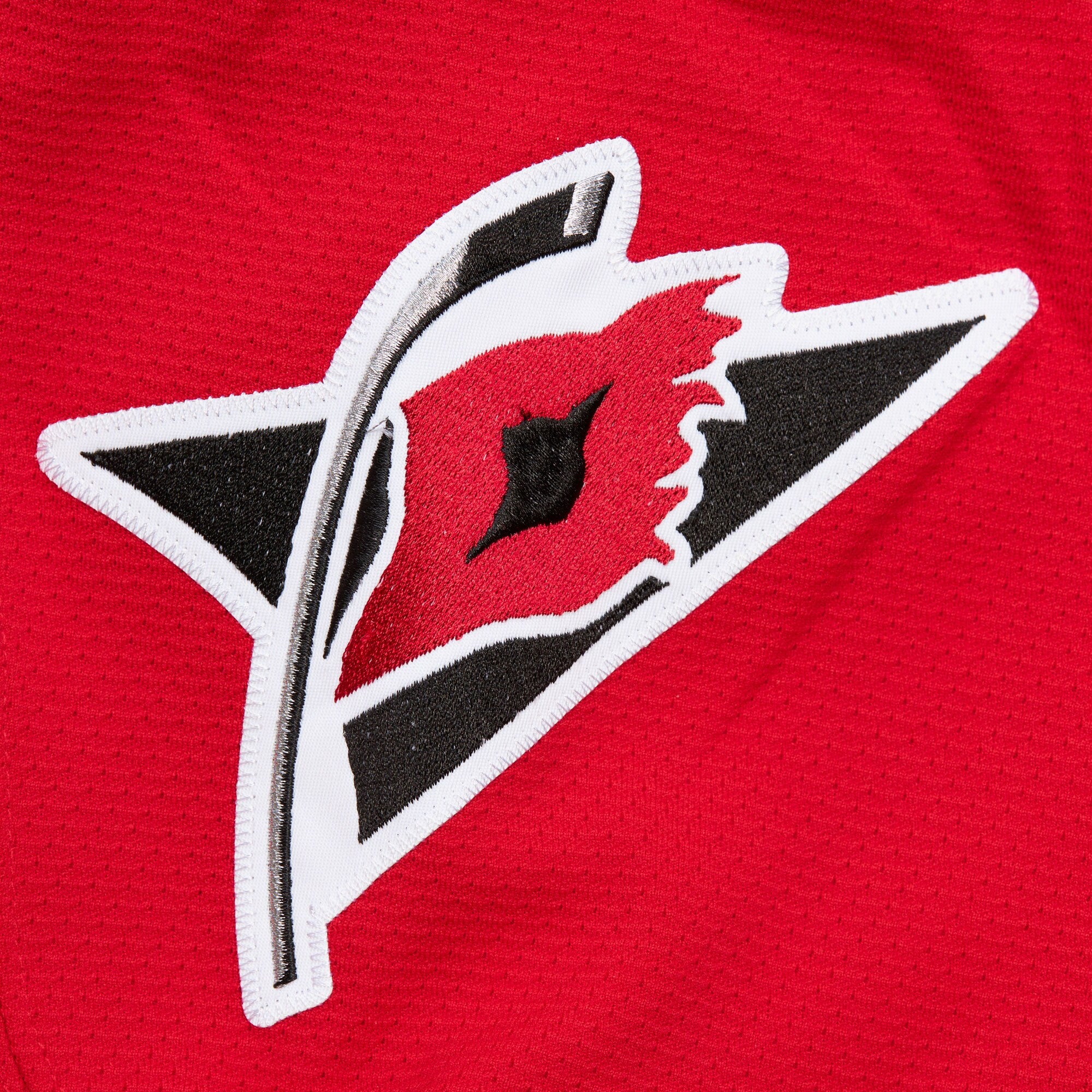 Mens Mitchell & Ness NHL DARK JERSEY HURRICANES 2005 ROD BRIND'AMOUR