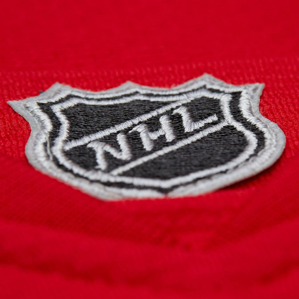 MENS MITCHELL & NESS NHL DARK JERSEY RED WINGS 2007 DOMINIK HASEK