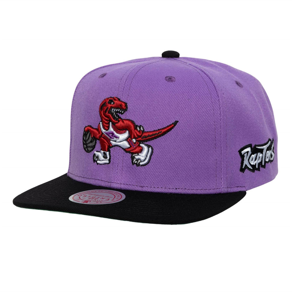 MENS MITCHELL & NESS NBA TEAM ORIGINS SNAPBACK HWC RAPTORS - PURPLE