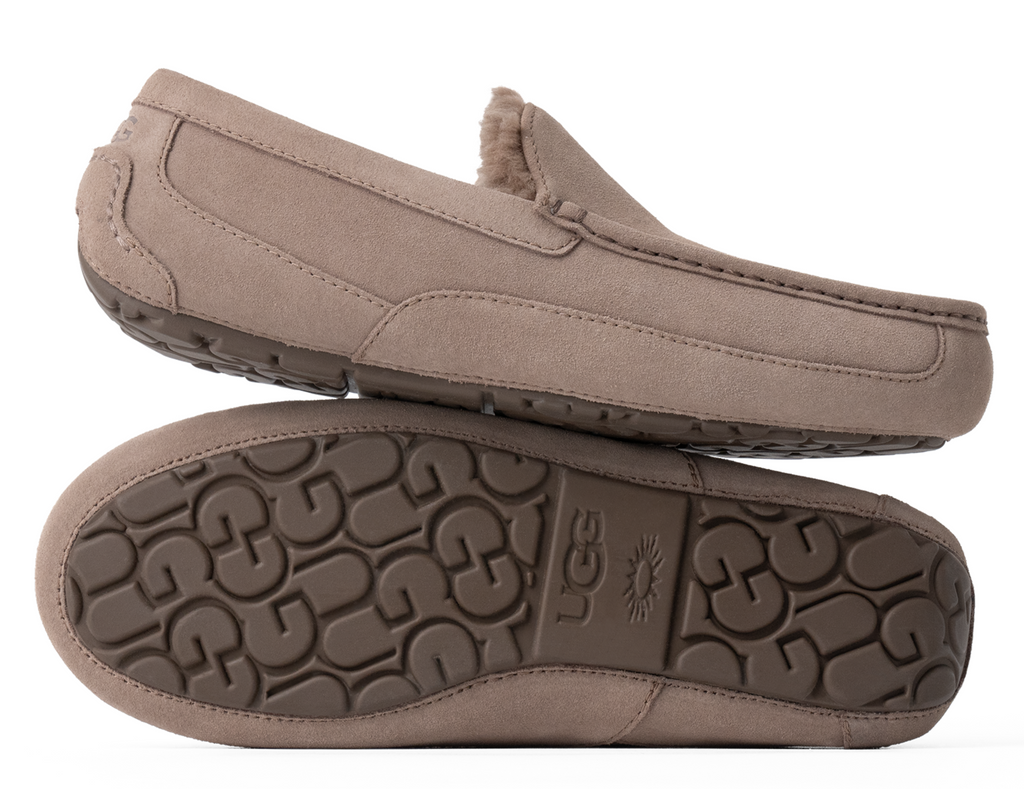 [1101110-CRBO] MENS UGG ASCOT