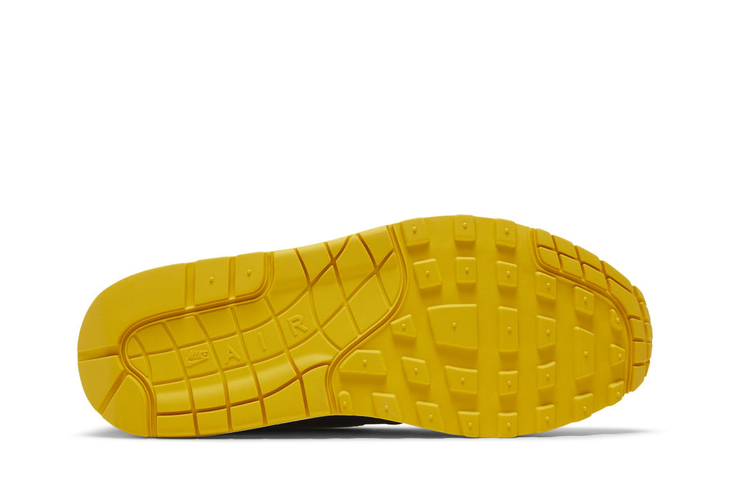 [FJ5479-410] Womens Nike AIR MAX 1 'CO.JP MICHIGAN HEAD TO HEAD'