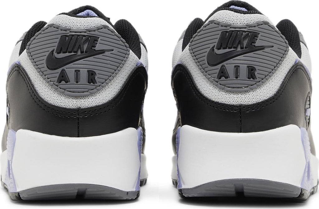 [DM0029-014] Mens Nike AIR MAX 90 'PHOTON DUST LIGHT THISTLE'