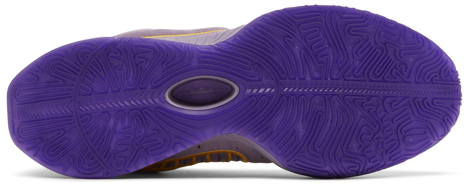 [FV2345-500] MENS NIKE LEBRON XXI 'PURPLE RAIN'