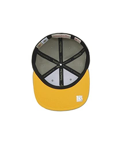 MENS MITCHELL & NESS NBA SUNNY GRAY FITTED HWC WARRIORS