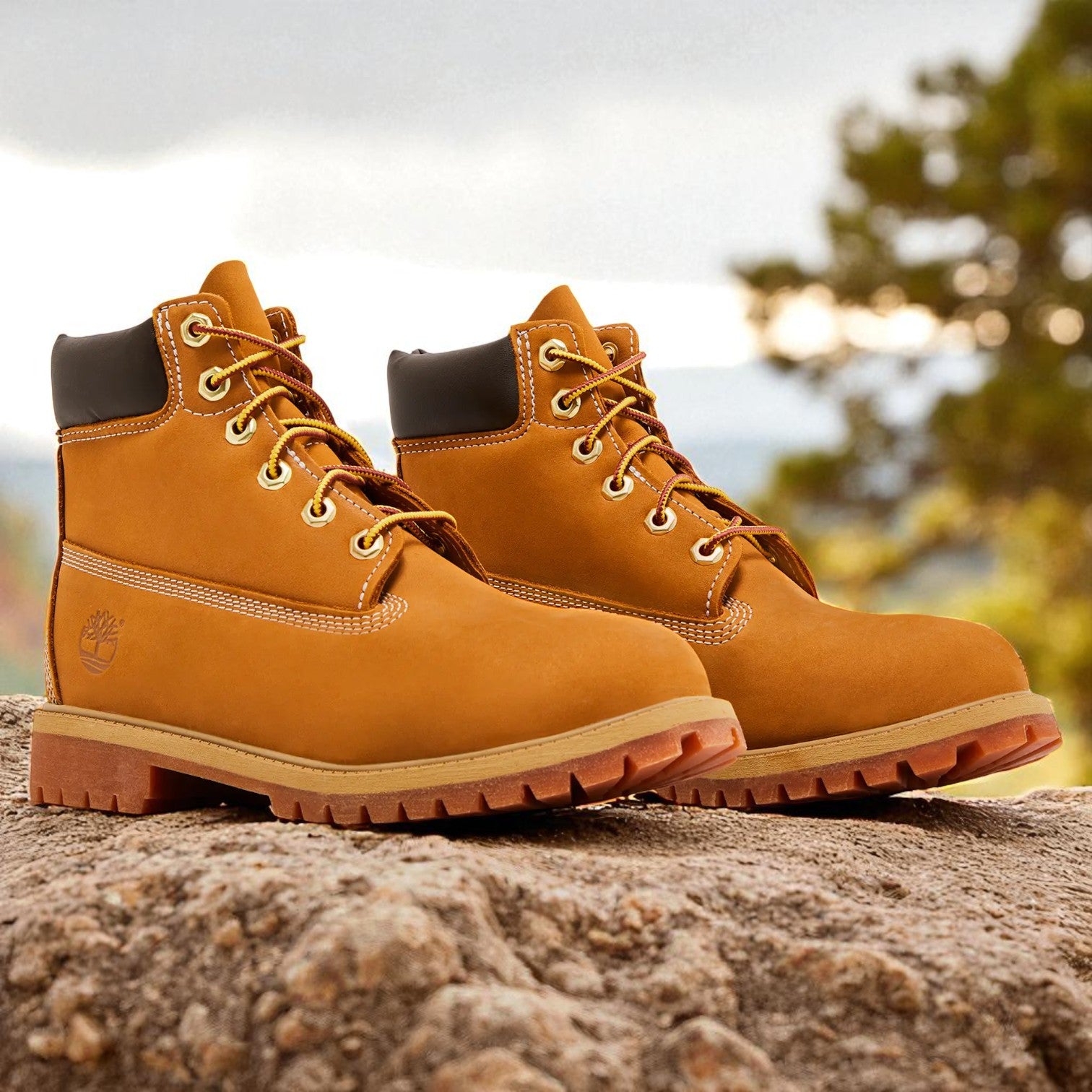 [TB112909713] GRADE SCHOOL TIMBERLAND PREMIUM 6-INCH WATERPROOF BOOT (GS)