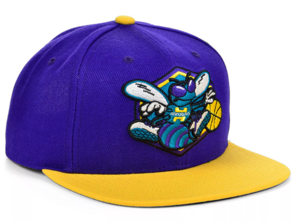 [6HSSJS19079-CHOPRGD] MENS MITCHELL & NESS NBA CHARLOTTE HORNETS CORE SNAPBACK
