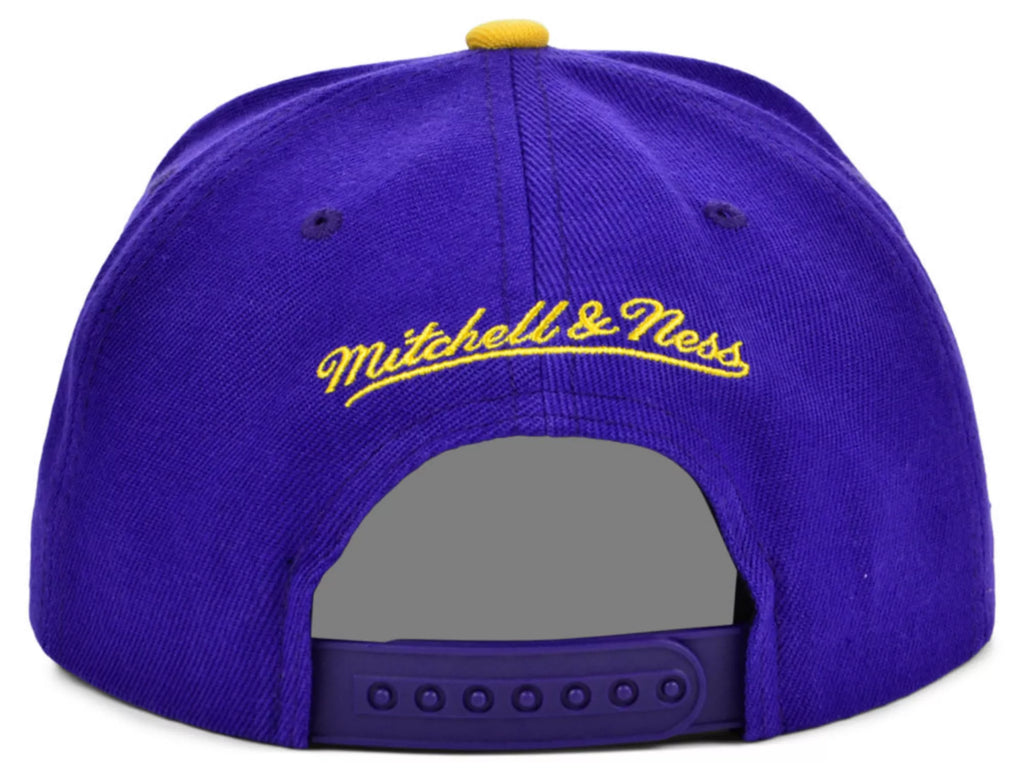 [6HSSJS19079-CHOPRGD] MENS MITCHELL & NESS NBA CHARLOTTE HORNETS CORE SNAPBACK