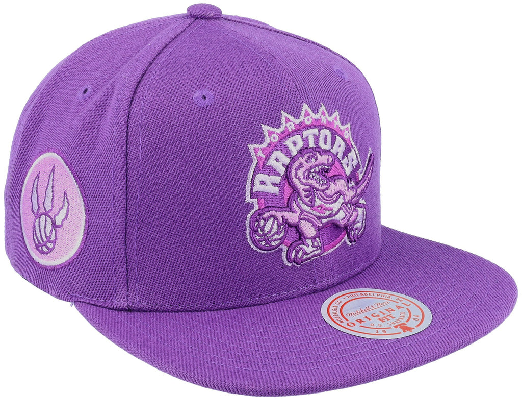 MENS MITCHELL & NESS NBA MONOCHROMATIC SNAPBACK HWC RAPTORS - PURPLE