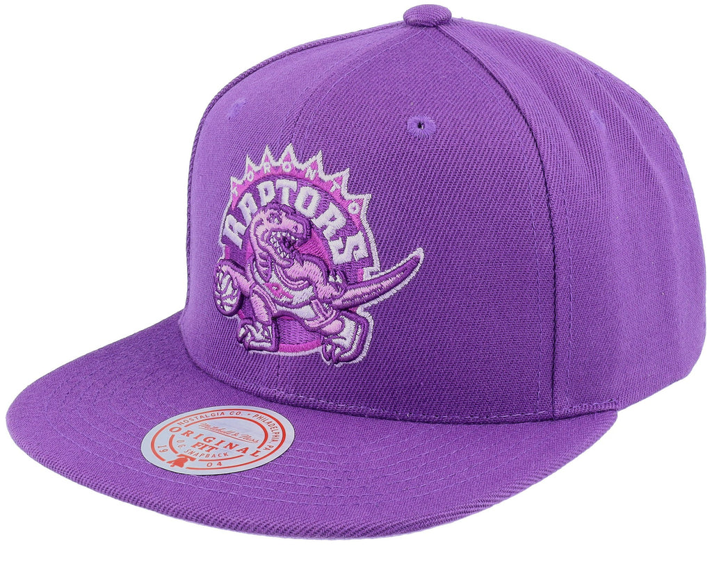 MENS MITCHELL & NESS NBA MONOCHROMATIC SNAPBACK HWC RAPTORS - PURPLE
