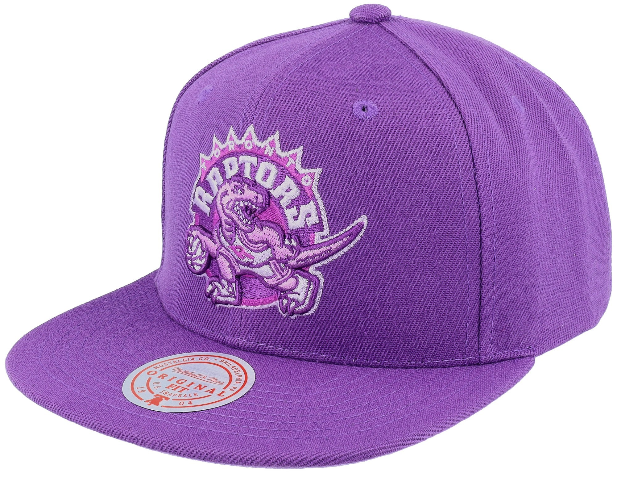 MENS MITCHELL & NESS NBA MONOCHROMATIC SNAPBACK HWC RAPTORS - PURPLE