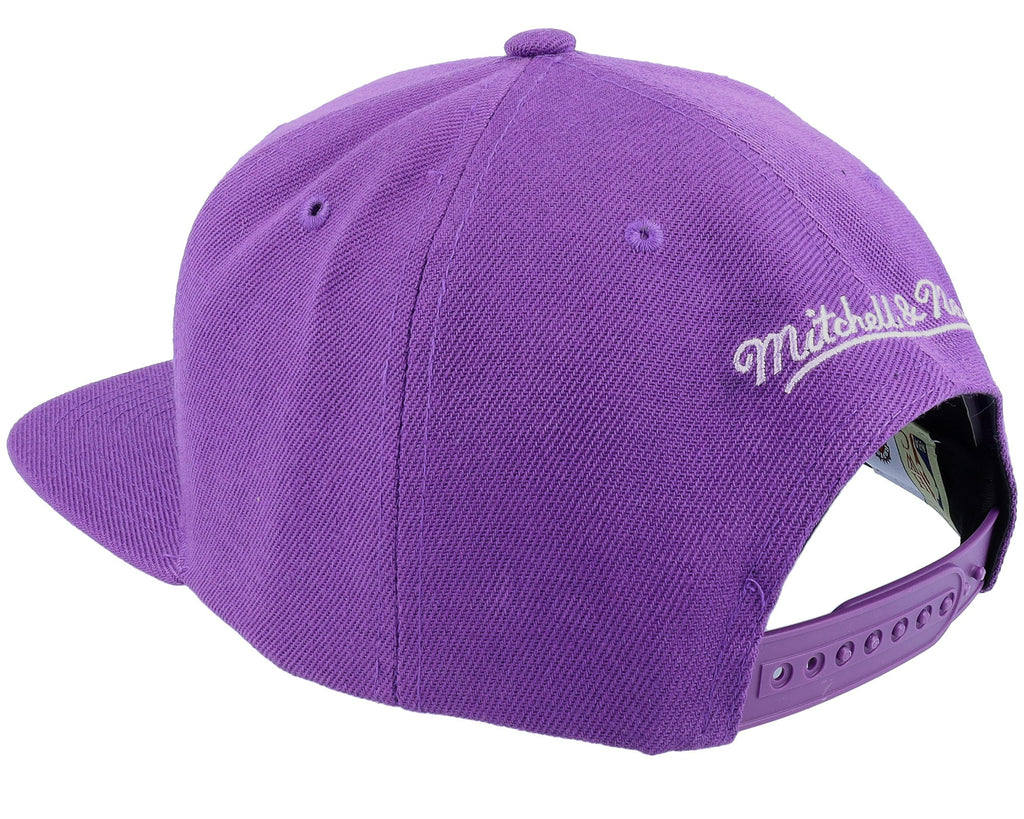 MENS MITCHELL & NESS NBA MONOCHROMATIC SNAPBACK HWC RAPTORS - PURPLE