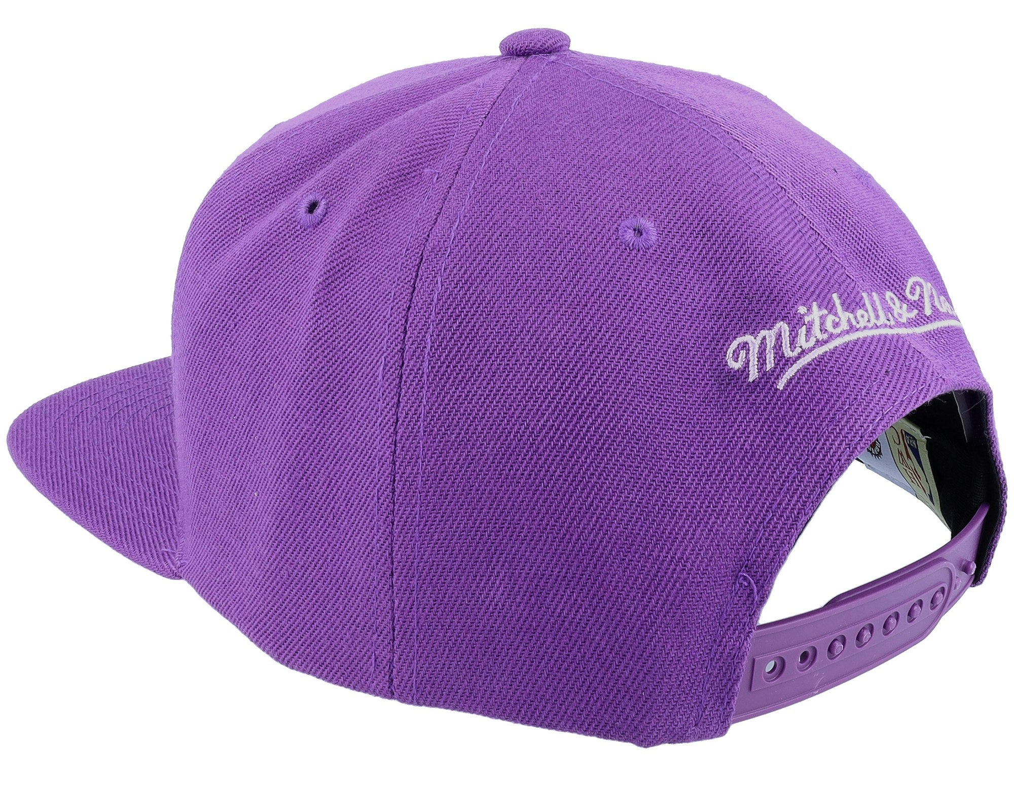 MENS MITCHELL & NESS NBA MONOCHROMATIC SNAPBACK HWC RAPTORS - PURPLE