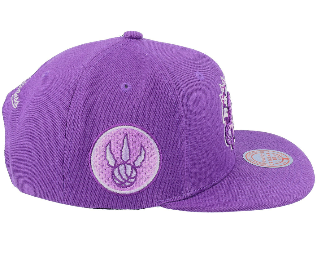 MENS MITCHELL & NESS NBA MONOCHROMATIC SNAPBACK HWC RAPTORS - PURPLE
