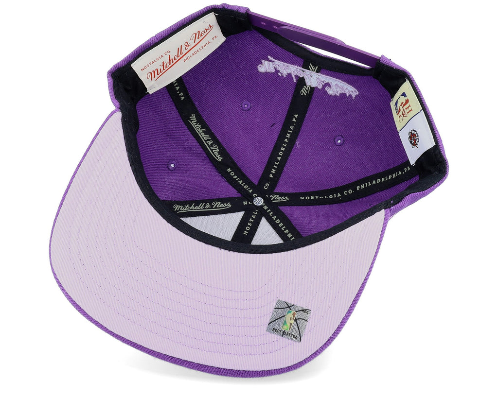 MENS MITCHELL & NESS NBA MONOCHROMATIC SNAPBACK HWC RAPTORS - PURPLE
