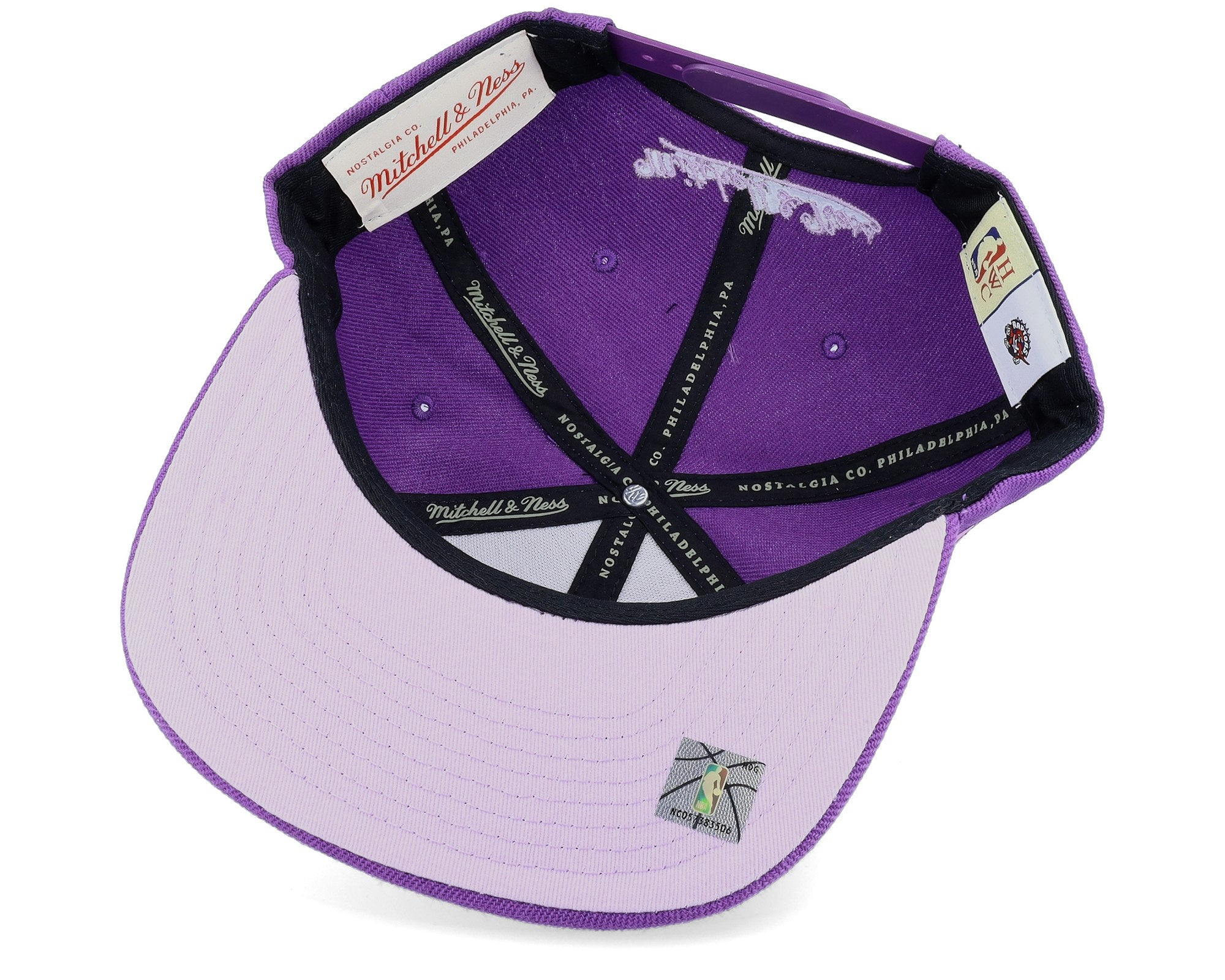 MENS MITCHELL & NESS NBA MONOCHROMATIC SNAPBACK HWC RAPTORS - PURPLE