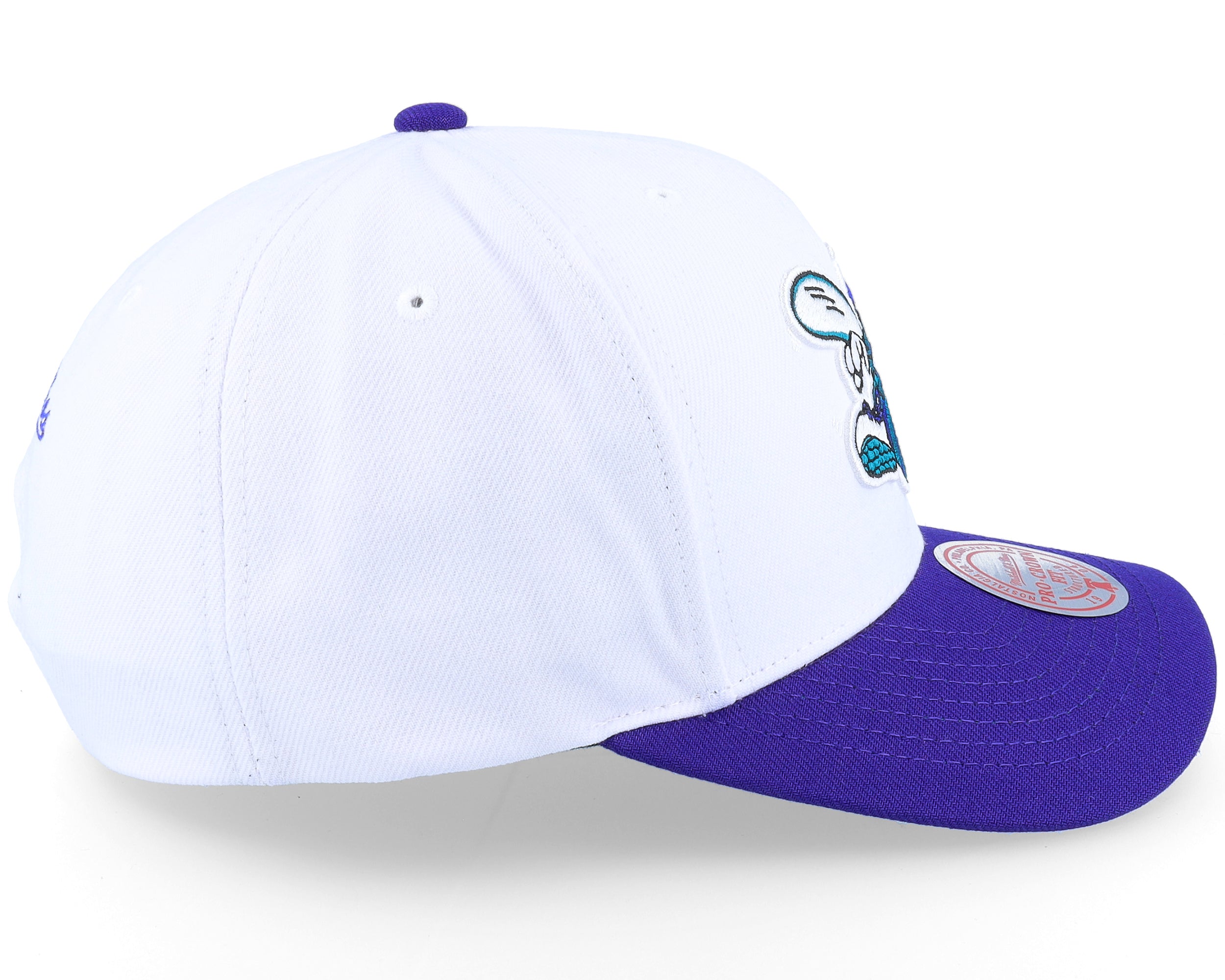Mens Mitchell & Ness NBA TEAM 2 TONE 2.0 PRO SNAPBACK HWC HORNETS