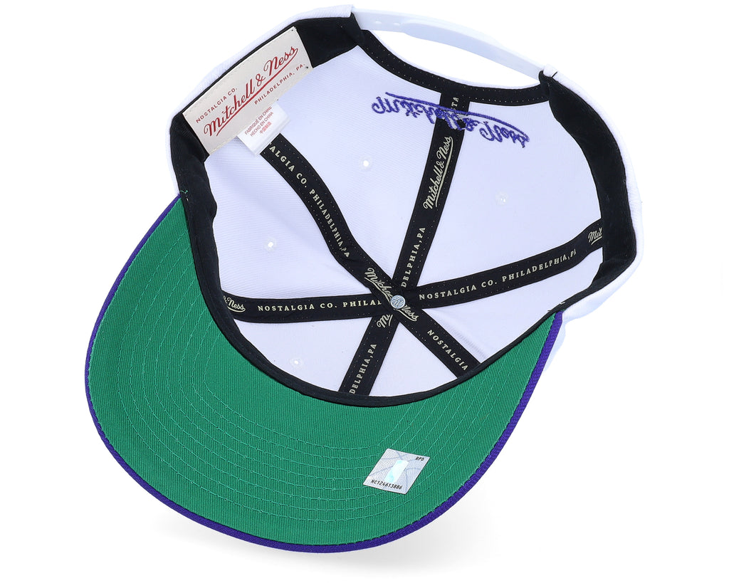 Mens Mitchell & Ness NBA TEAM 2 TONE 2.0 PRO SNAPBACK HWC HORNETS