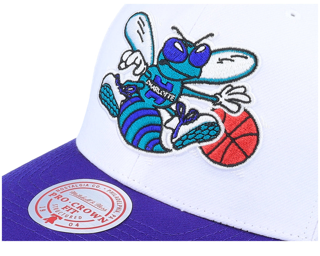 Mens Mitchell & Ness NBA TEAM 2 TONE 2.0 PRO SNAPBACK HWC HORNETS
