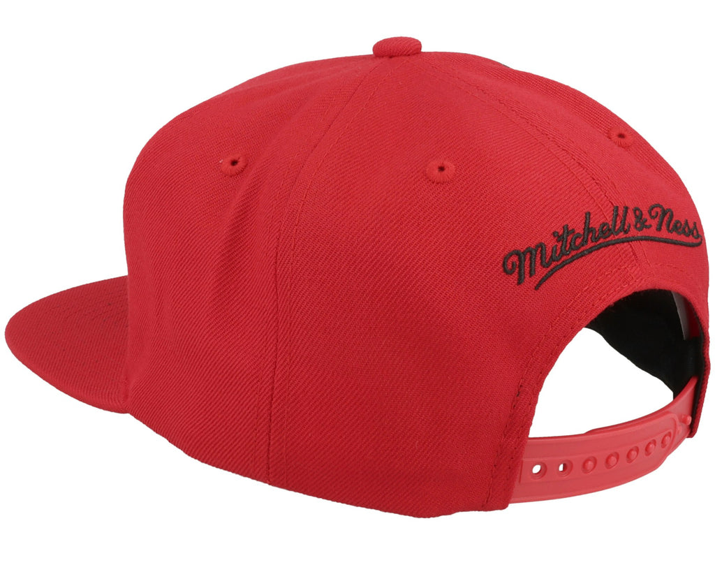 MENS MITCHELL & NESS NBA TAPESTRY SNAPBACK RAPTORS