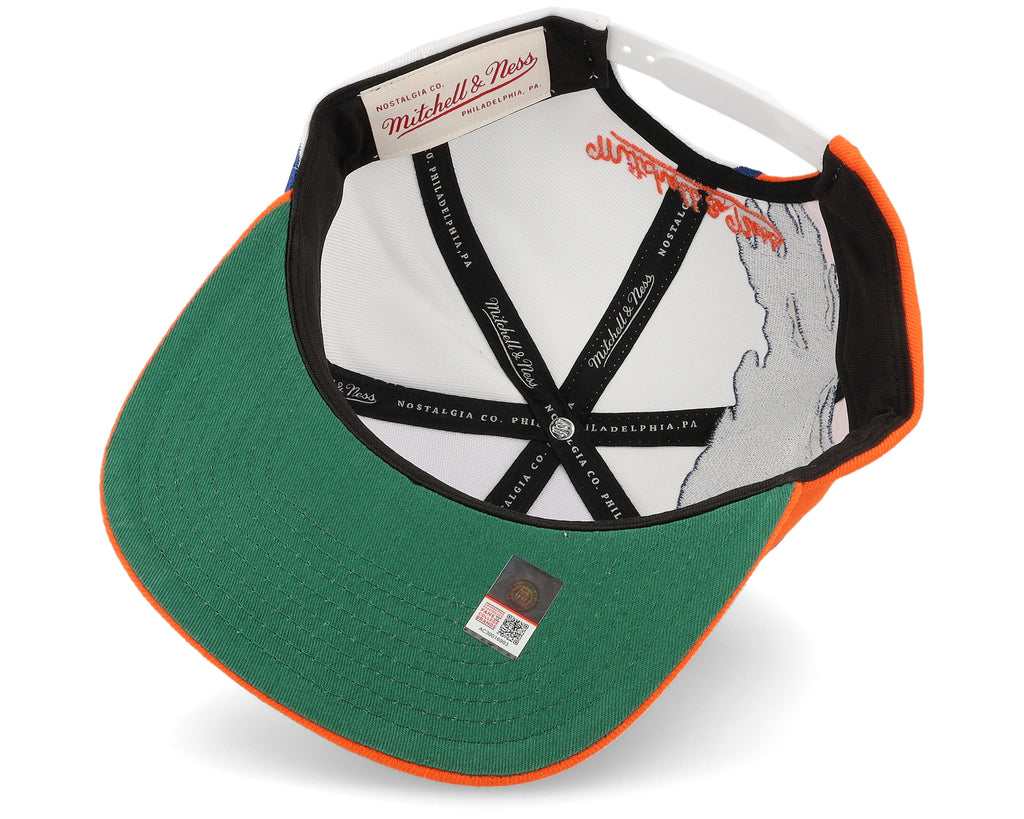 Mens Mitchell & Ness NCAA PAINTBRUSH SNAPBACK U OF FLORIDA