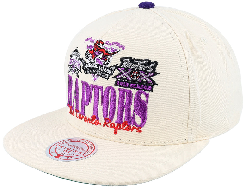 Mens Mitchell & Ness NBA REFRAME RETRO SNAPBACK HWC RAPTORS