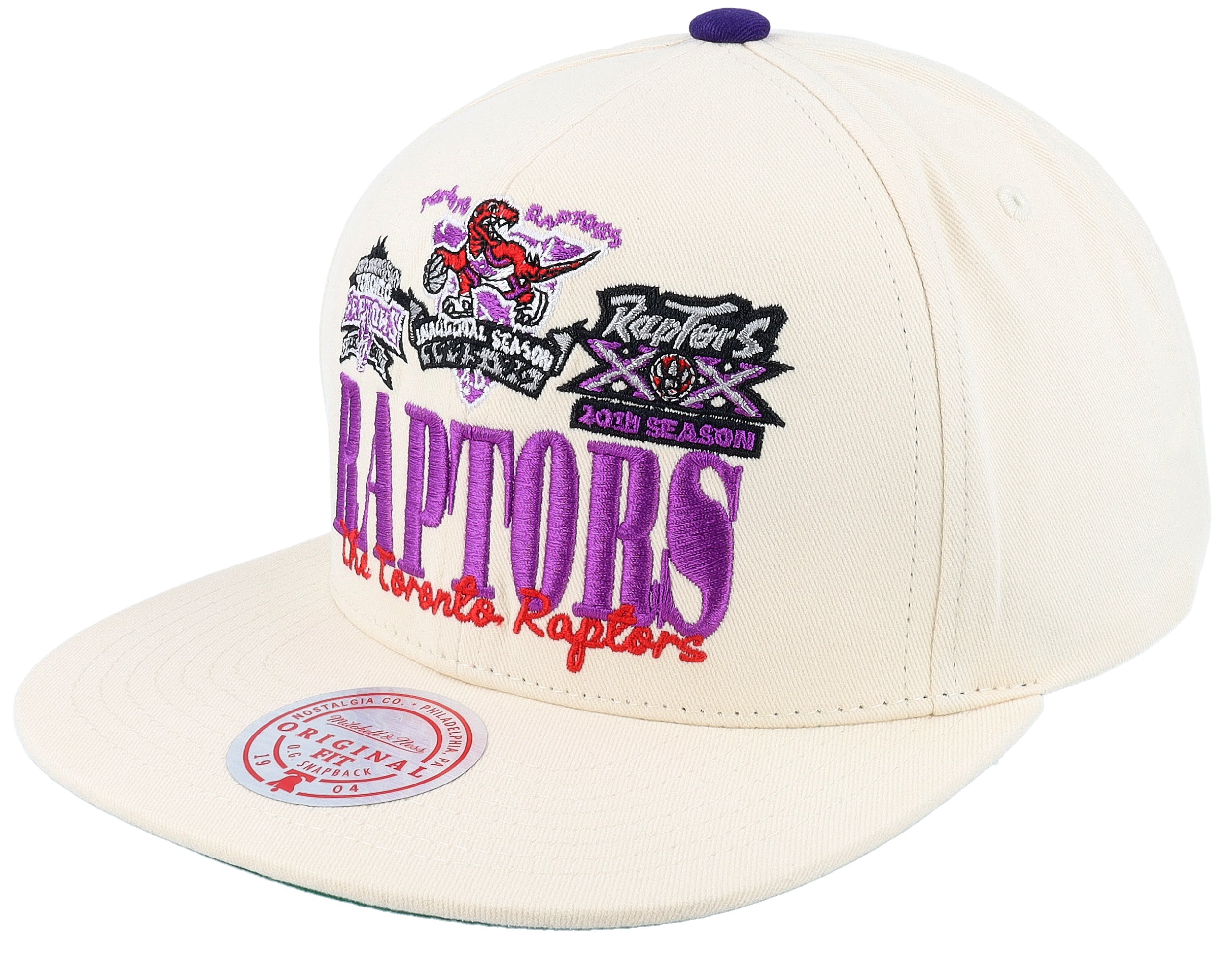 Mens Mitchell & Ness NBA REFRAME RETRO SNAPBACK HWC RAPTORS