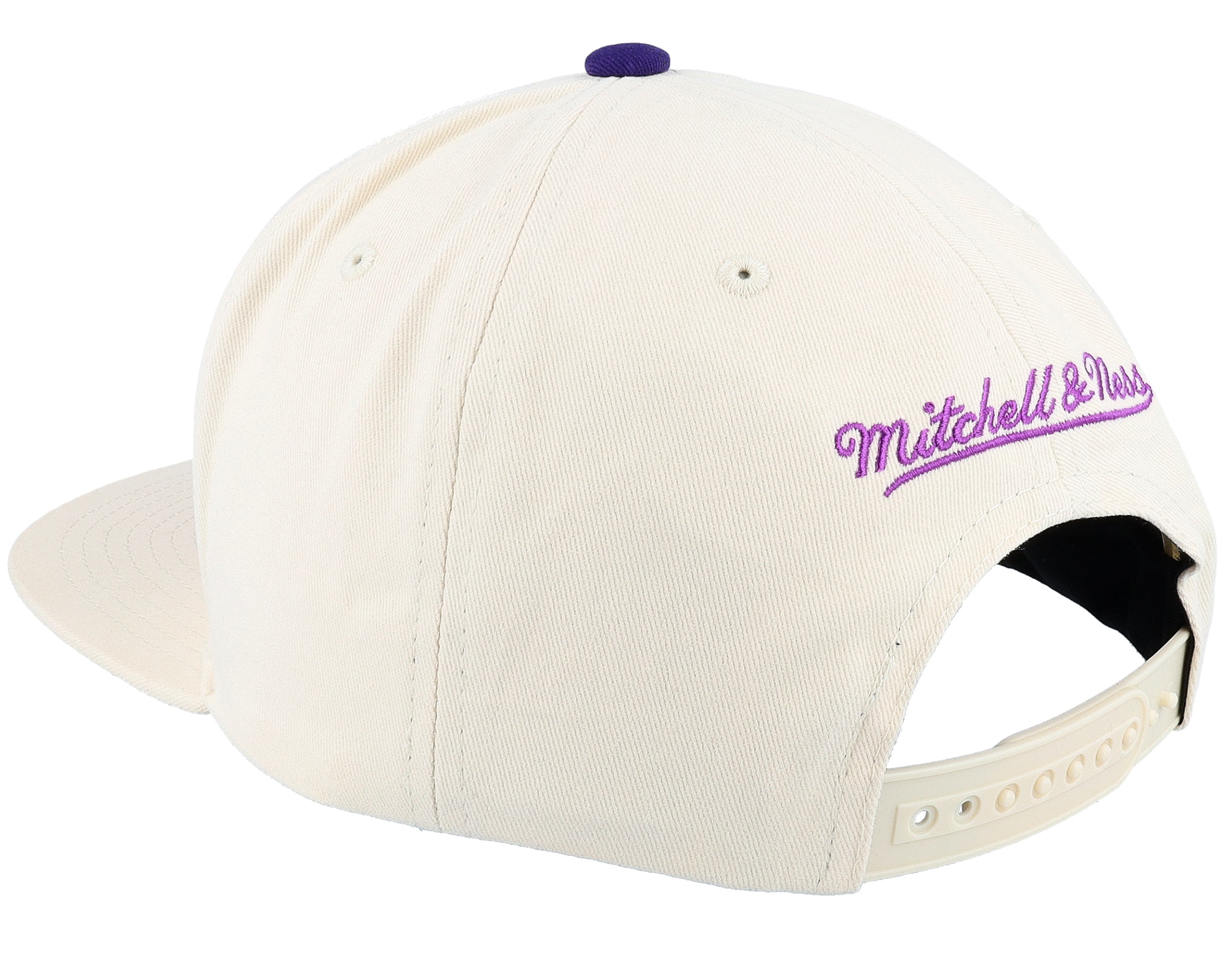 Mens Mitchell & Ness NBA REFRAME RETRO SNAPBACK HWC RAPTORS