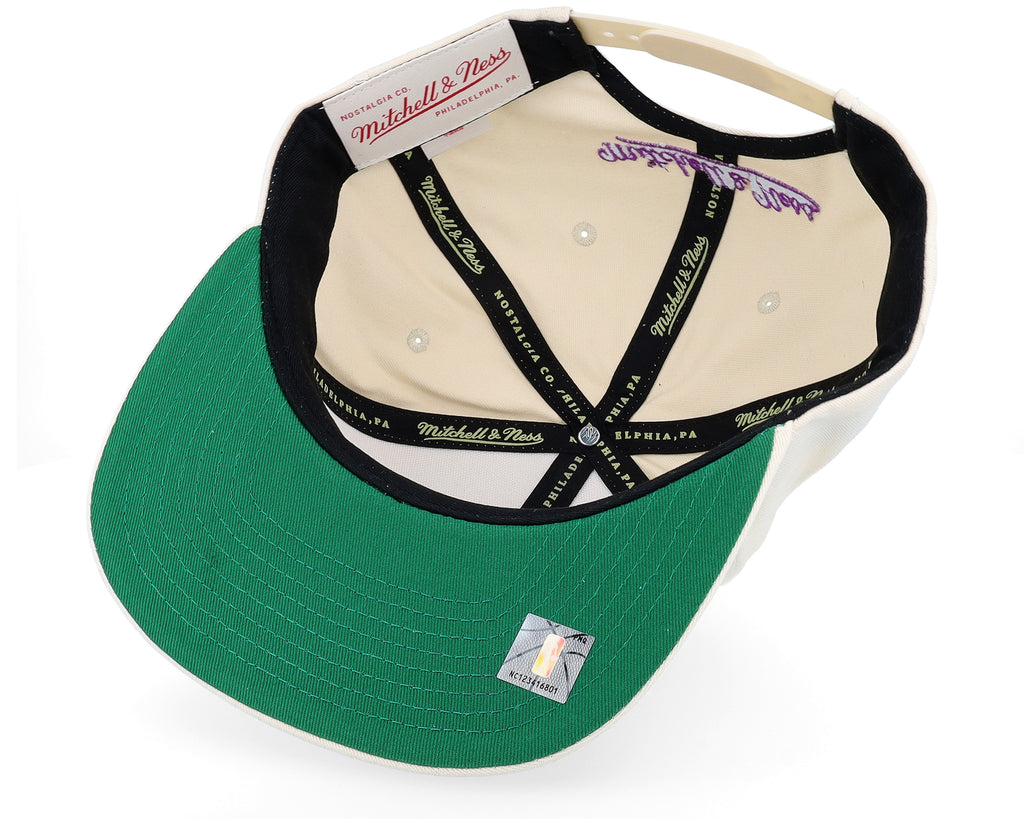 Mens Mitchell & Ness NBA REFRAME RETRO SNAPBACK HWC RAPTORS