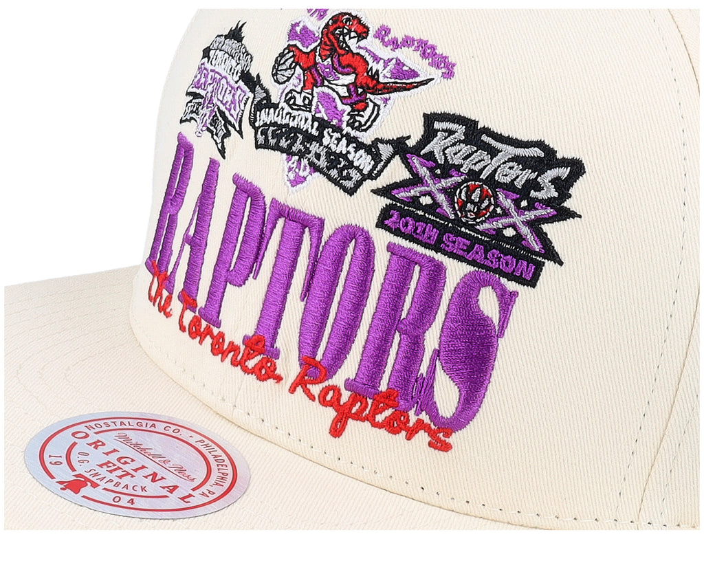 Mens Mitchell & Ness NBA REFRAME RETRO SNAPBACK HWC RAPTORS