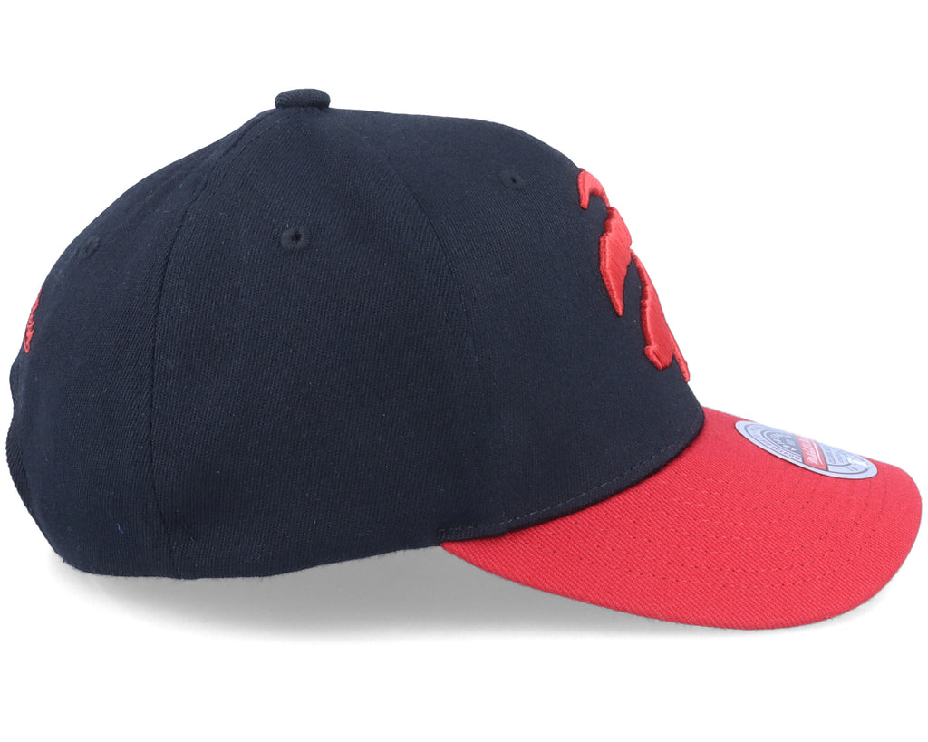 MENS MITCHELL & NESS NBA TEAM 2 TONE 2.0 STRETCH SNAPBACK NBA RAPTORS