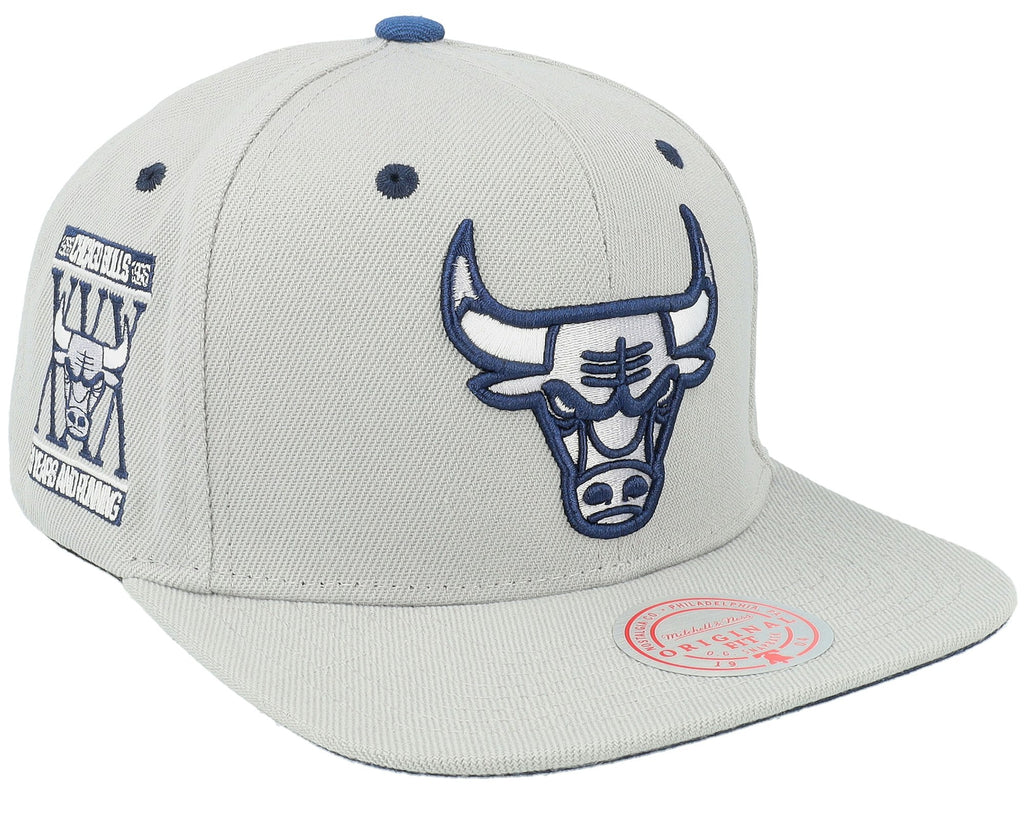 MENS MITCHELL & NESS NBA THE DISTRICT SNAPBACK BULLS - GREY