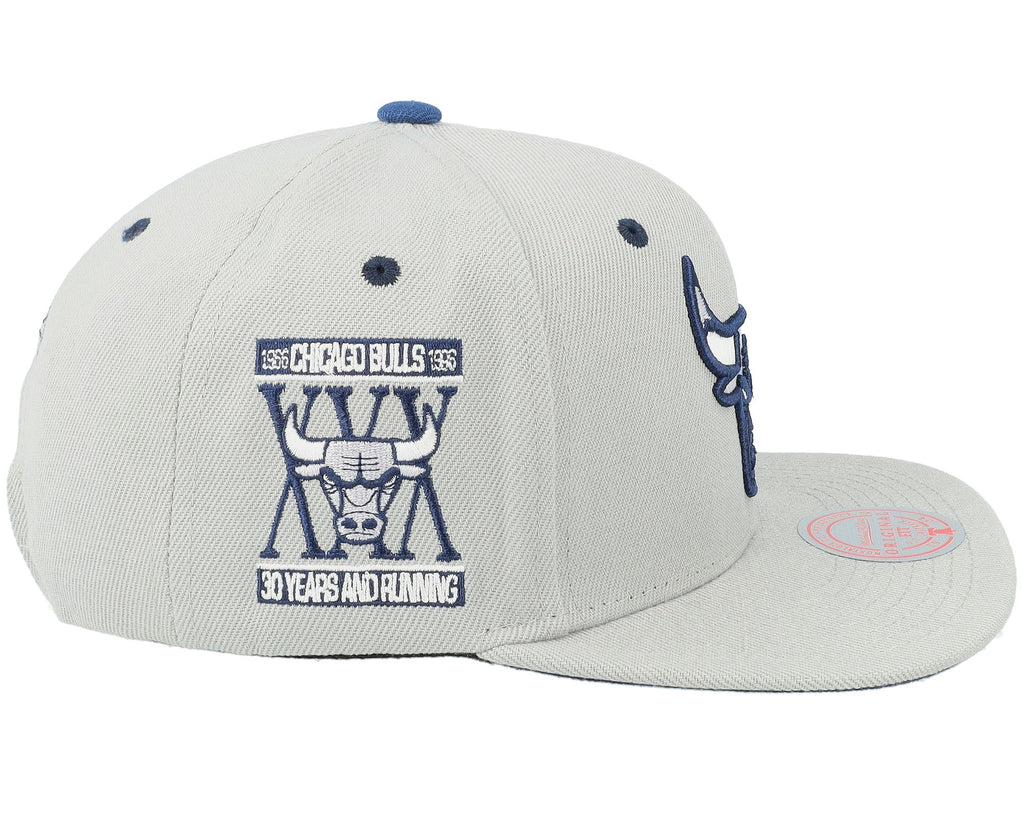 MENS MITCHELL & NESS NBA THE DISTRICT SNAPBACK BULLS - GREY