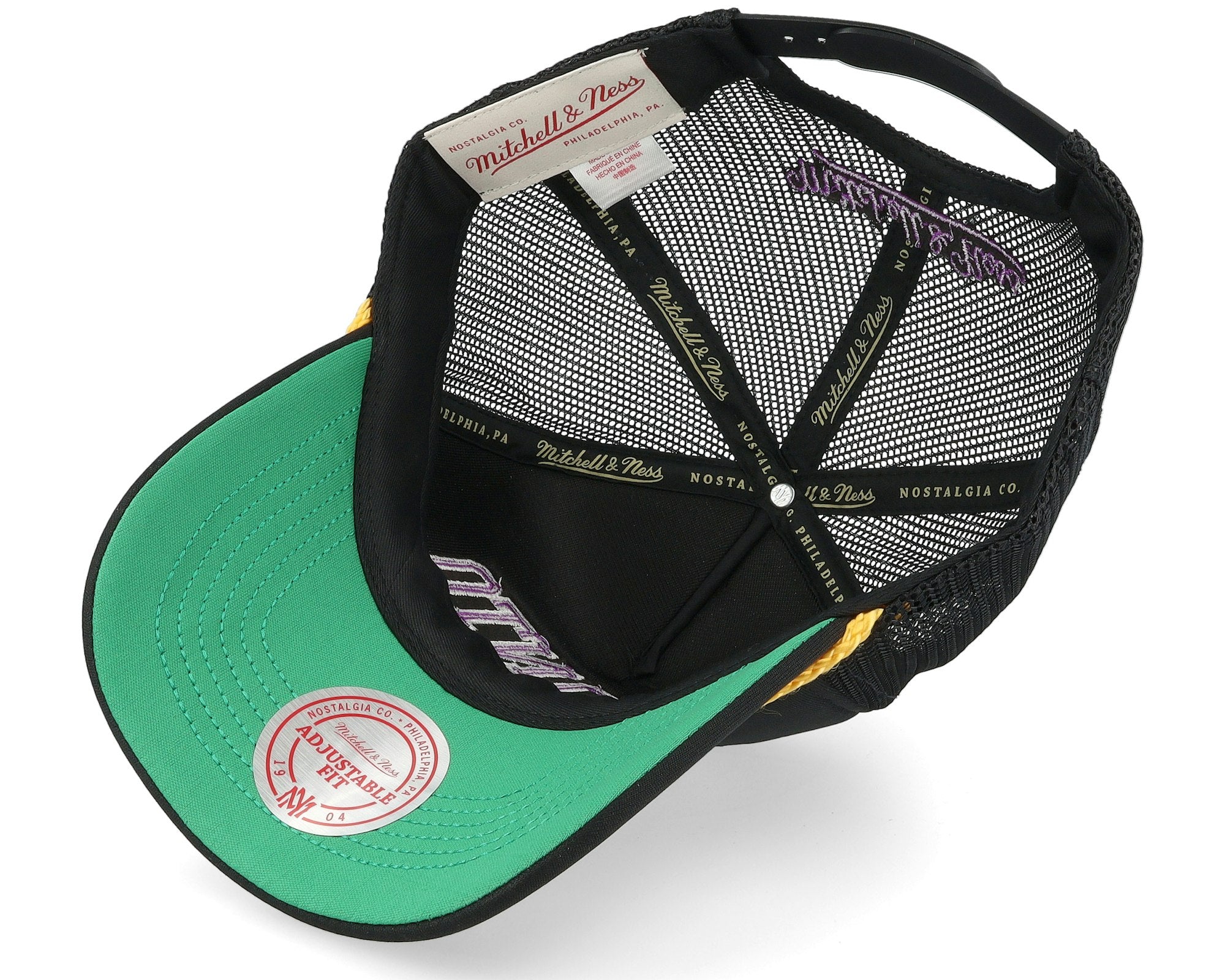 MENS MITCHELL & NESS NBA GOLD LEAF TRUCKER HWC RAPTORS