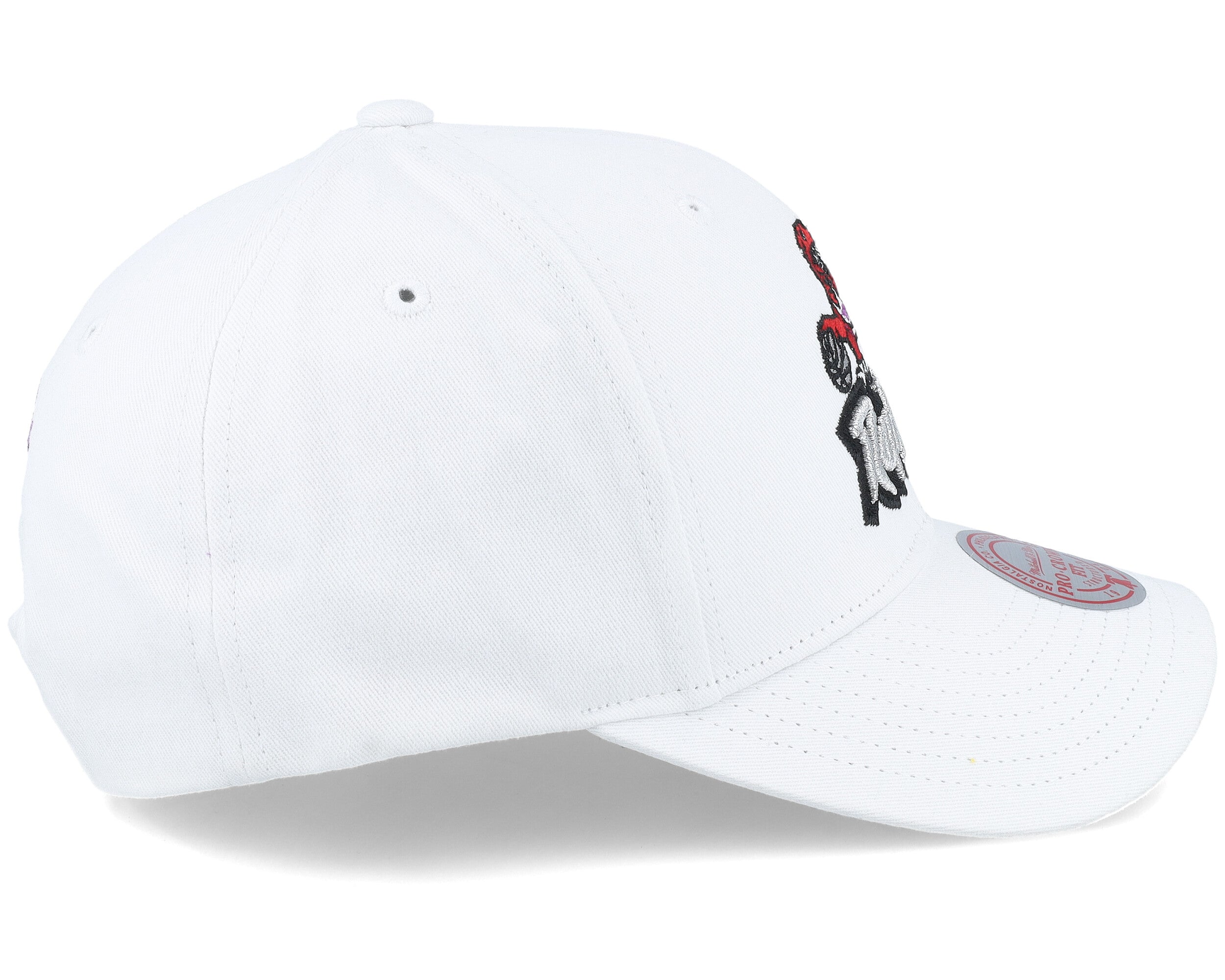 Mens Mitchell & Ness NBA ALL IN PRO SNAPBACK HWC RAPTORS
