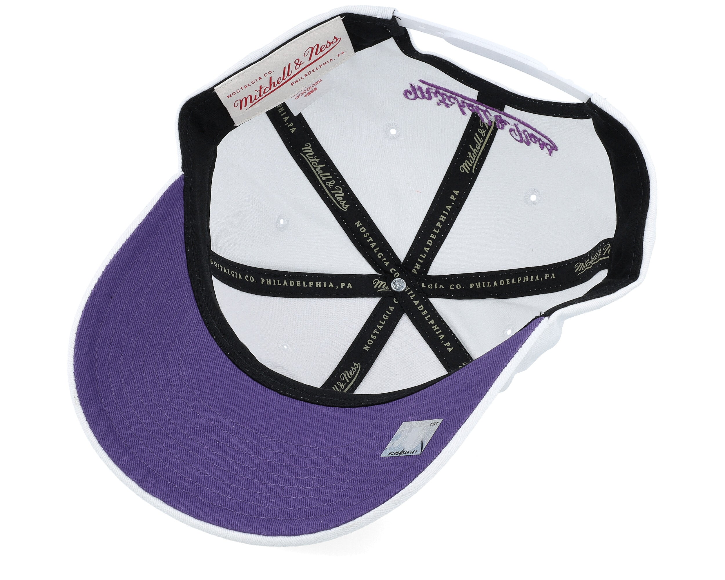 Mens Mitchell & Ness NBA ALL IN PRO SNAPBACK HWC RAPTORS