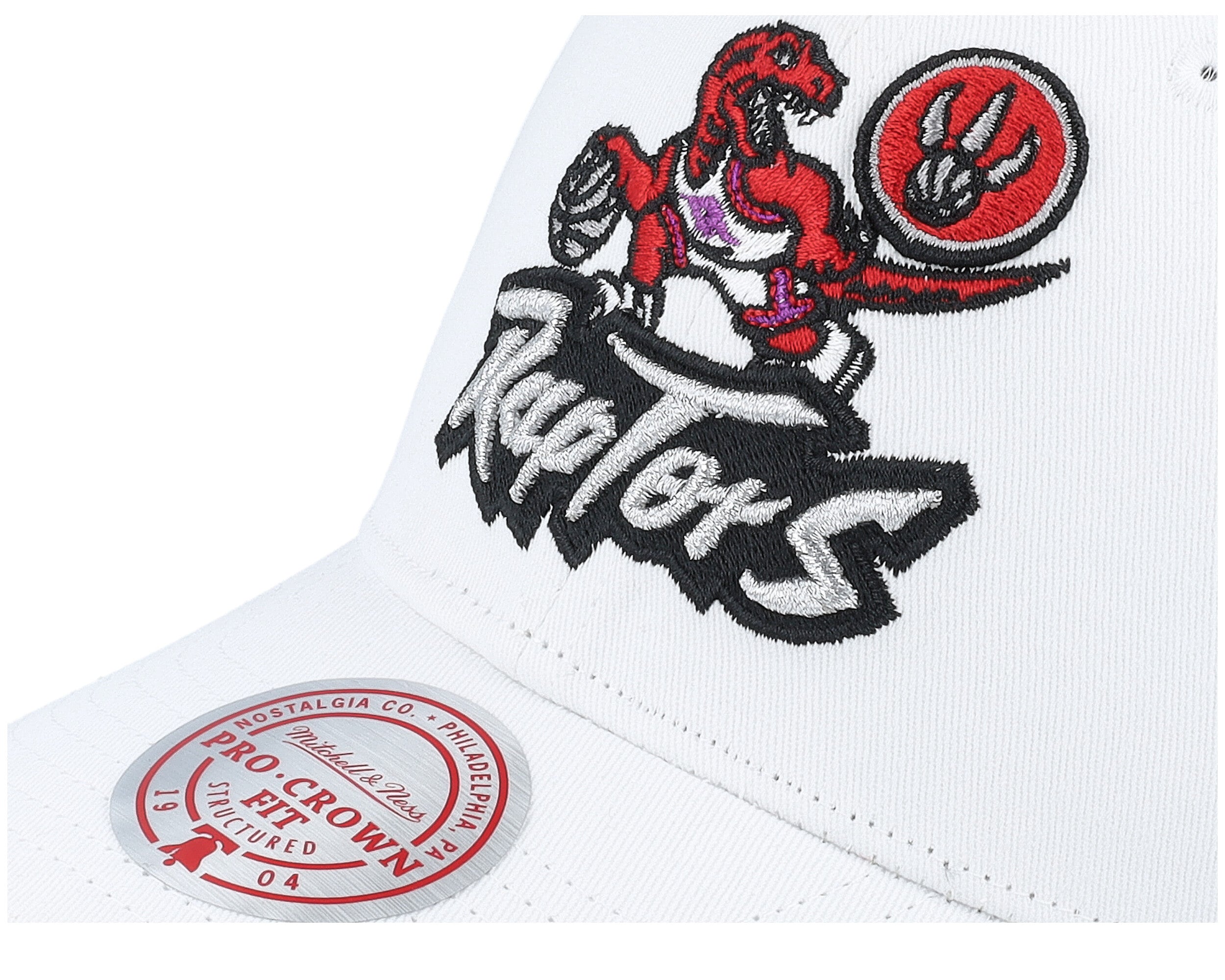 Mens Mitchell & Ness NBA ALL IN PRO SNAPBACK HWC RAPTORS