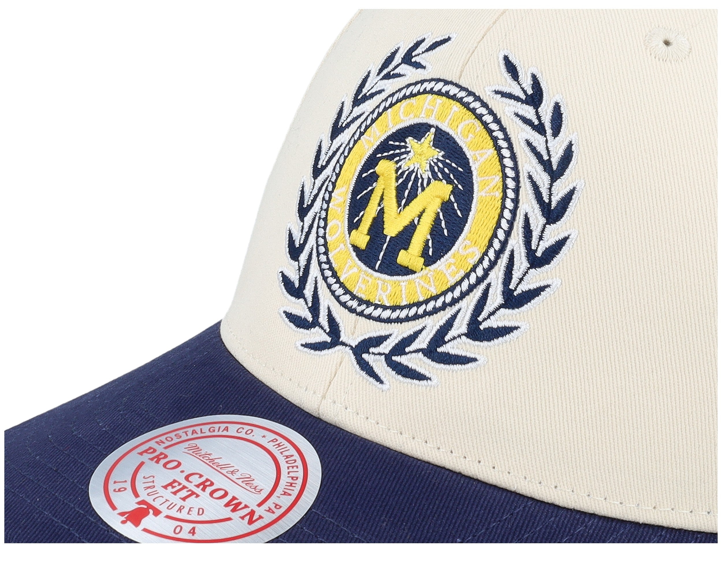 Mens Mitchell & Ness NCAA COLLEGIATE PRO SNAPBACK V MICHIGAN