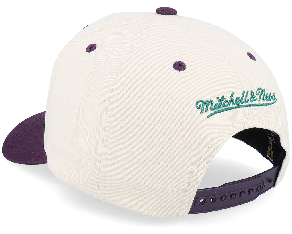 Mens Mitchell & Ness NHL HORIZON PRO SNAPBACK VNTG DUCKS
