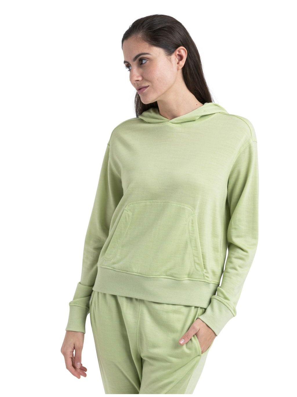 [IB0A56T6B76] WOMENS ICEBREAKER MERINO BLEND II 200 CRUSH PULLOVER HOODIE