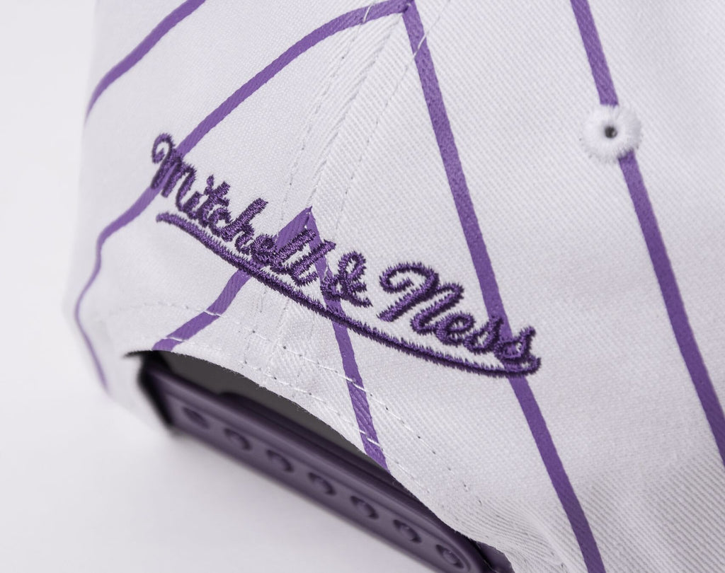 MENS MITCHELL & NESS NBA RETRO PINSTRIPE SNAPBACK HWC RAPTORS - WHITE