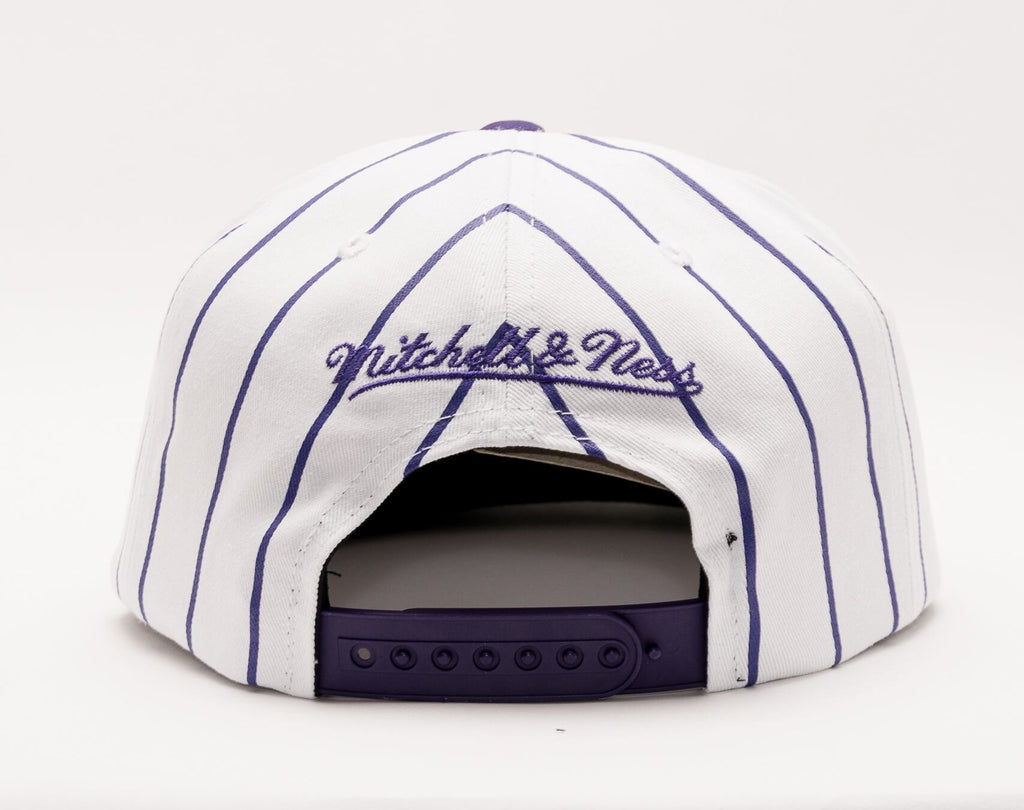 MENS MITCHELL & NESS NBA RETRO PINSTRIPE SNAPBACK HWC RAPTORS - WHITE