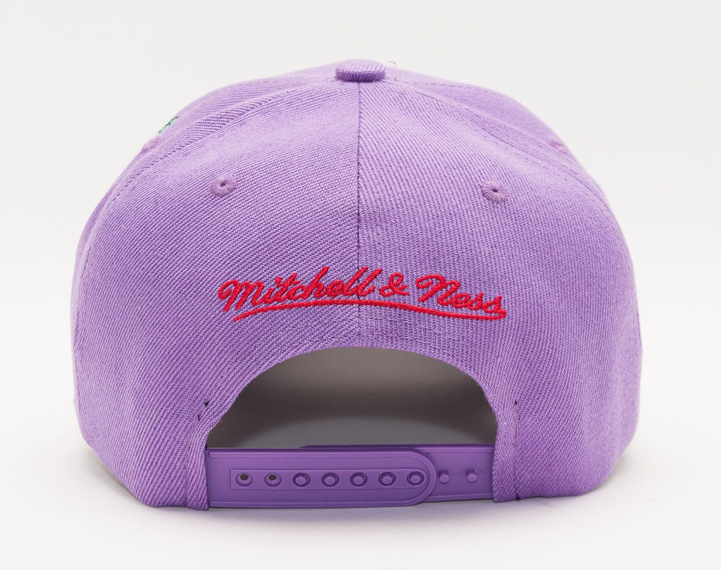 Mens MITCHELL & NESS NBA SECONDARY ROSES PRO SNAPBACK HWC RAPTORS