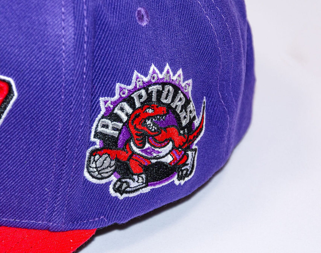 MENS MITCHELL & NESS NBA SHREDDER STRETCH SNAPBACK HWC RAPTORS - PURPLE