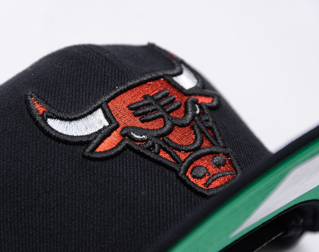 Mens Mitchell & Ness NBA SHINE ON SNAPBACK BULLS