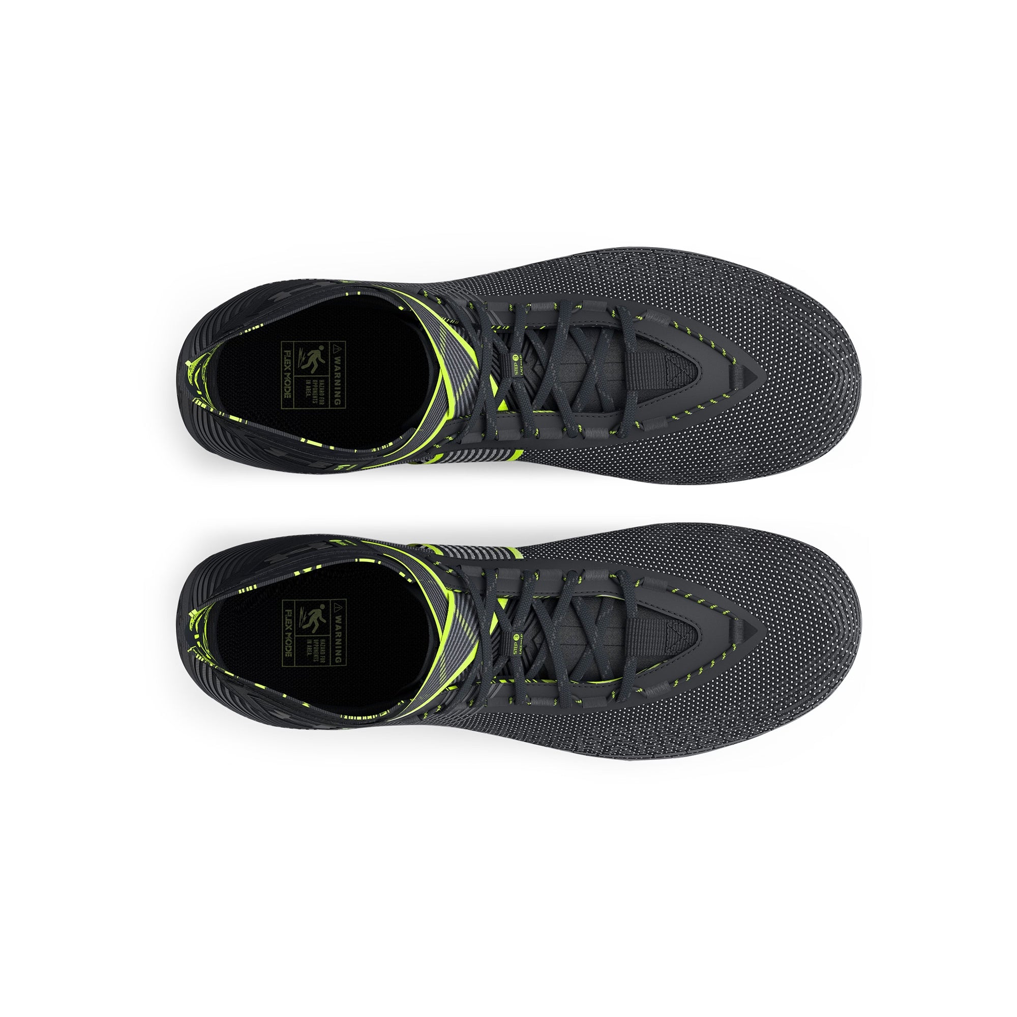 3023716-004_TOE