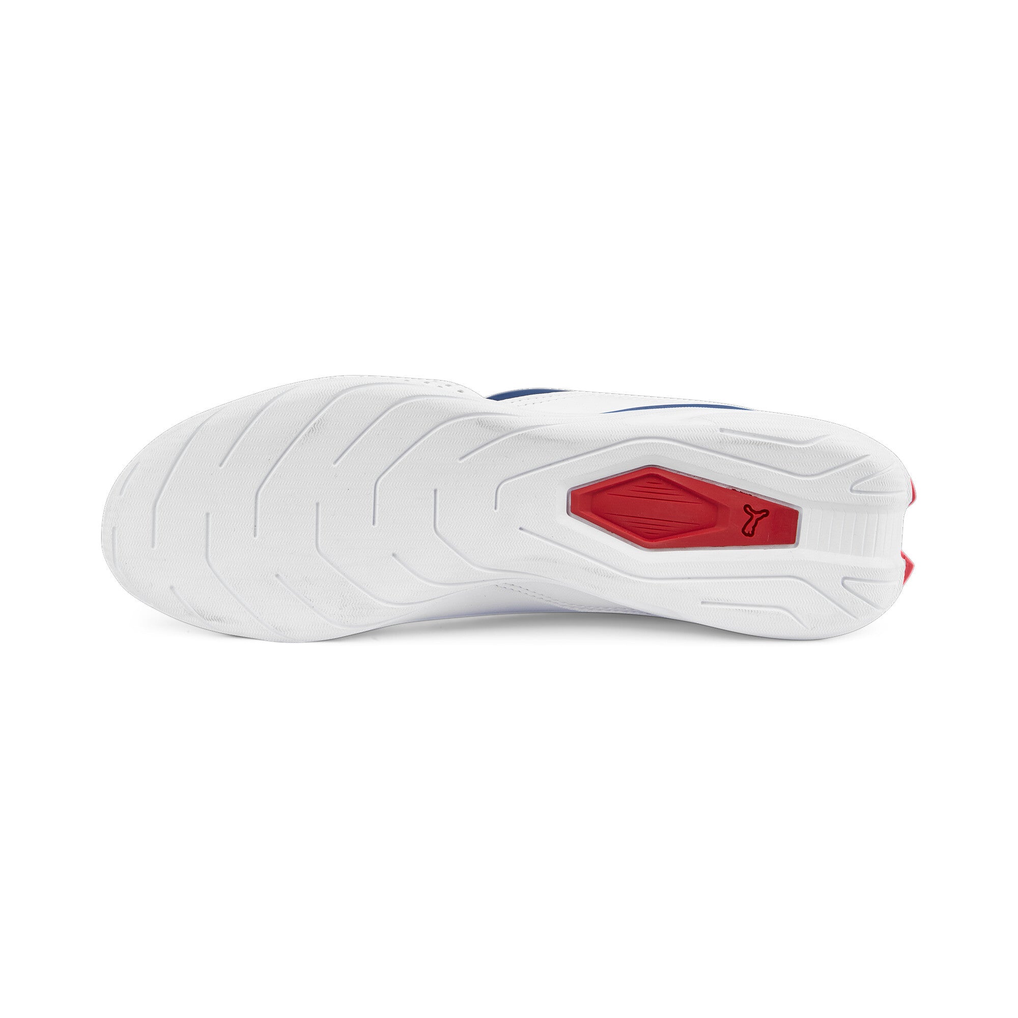 [307304-03] Mens Puma BMW MMS DRIFT CAT DECIMA