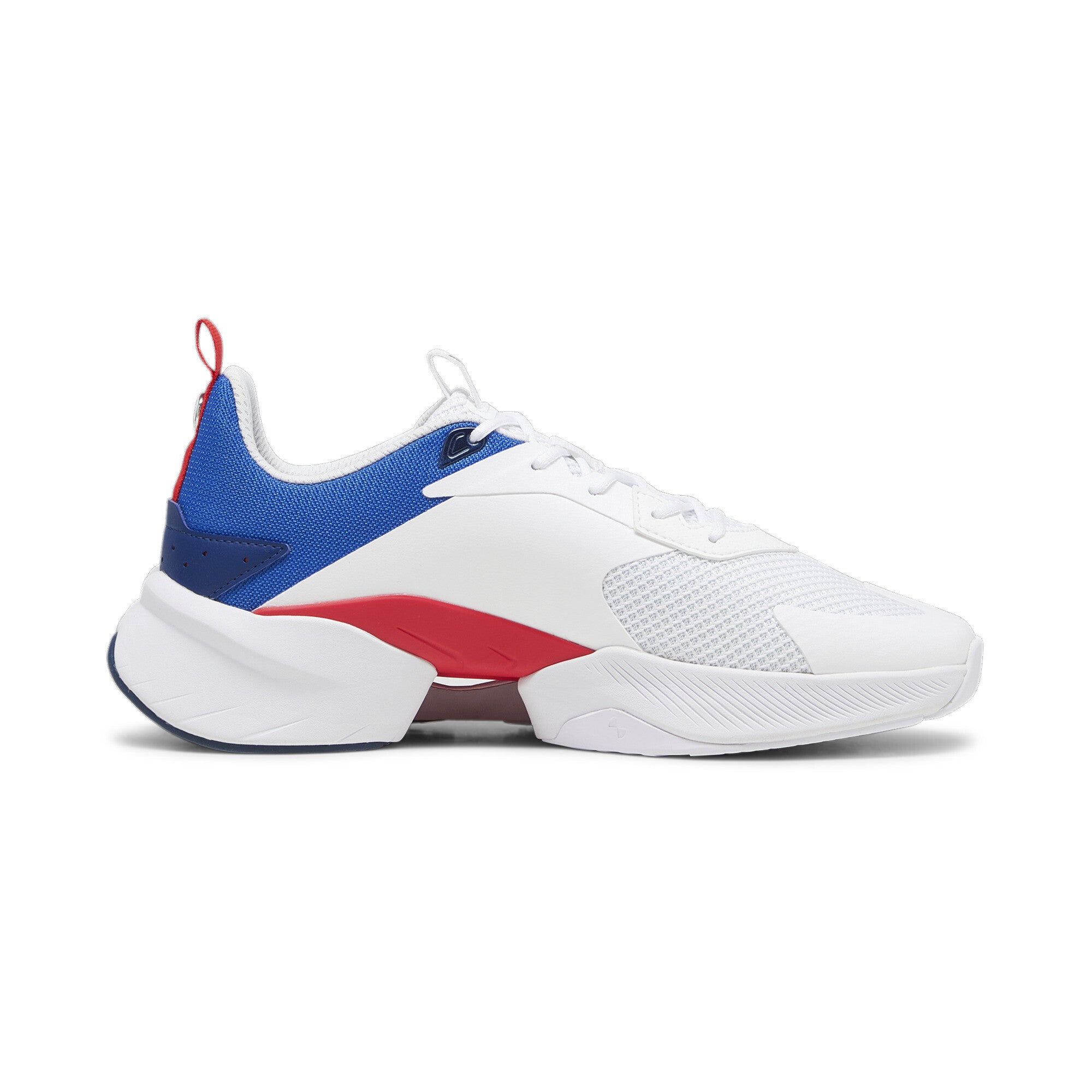 [307768-02] Mens Puma BMW MMS LGND RENEGADE